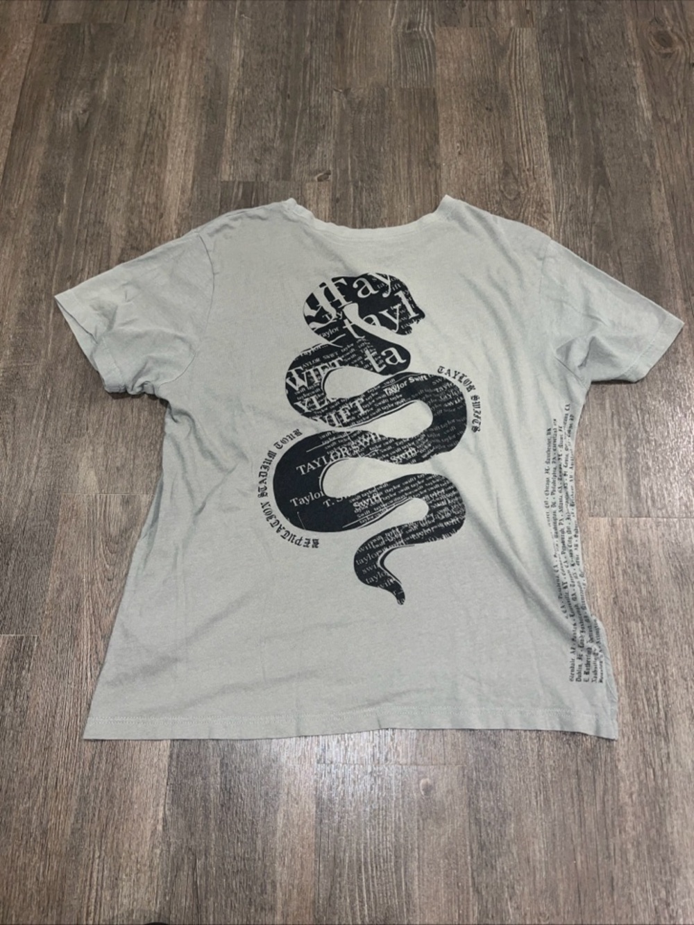 Taylor Swift Reputation Stadium Tour Grey Snake Graphic Pocket T-Shirt